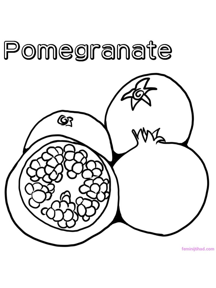 Printable pomegranate coloring page