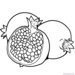 Printable Pomegranate Coloring Pictures