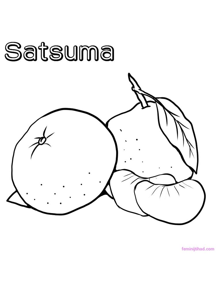 Printable satsuma coloring pages free
