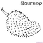 Soursop Coloring Pages Printable