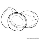 Free Coconut Coloring Pages Pdf
