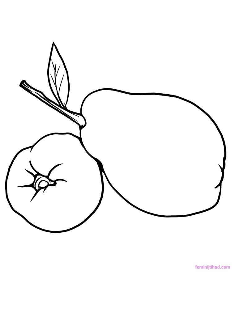 free quince coloring sheet printable