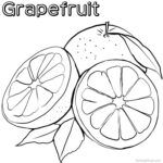 Grapefruit Coloring Images