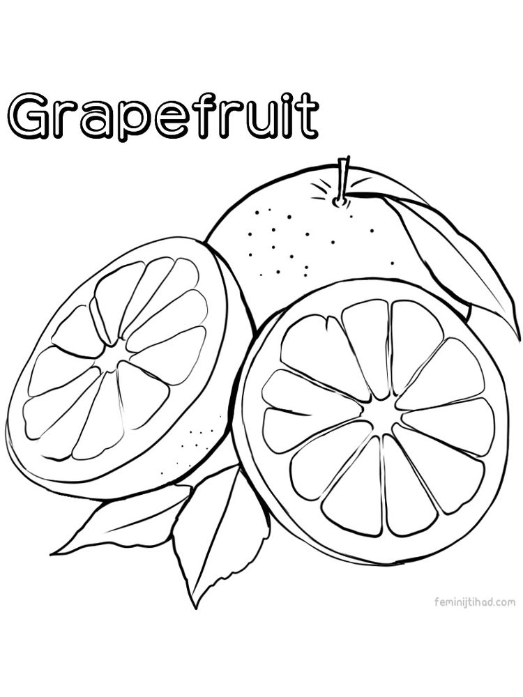 grapefruit coloring images