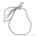 Pear Coloring Pictures Pdf Free