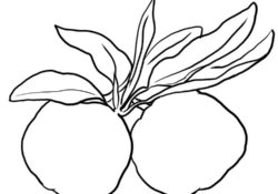 printable New Yuzu Coloring Pages