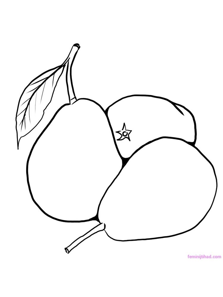 printable pear coloring image pdf