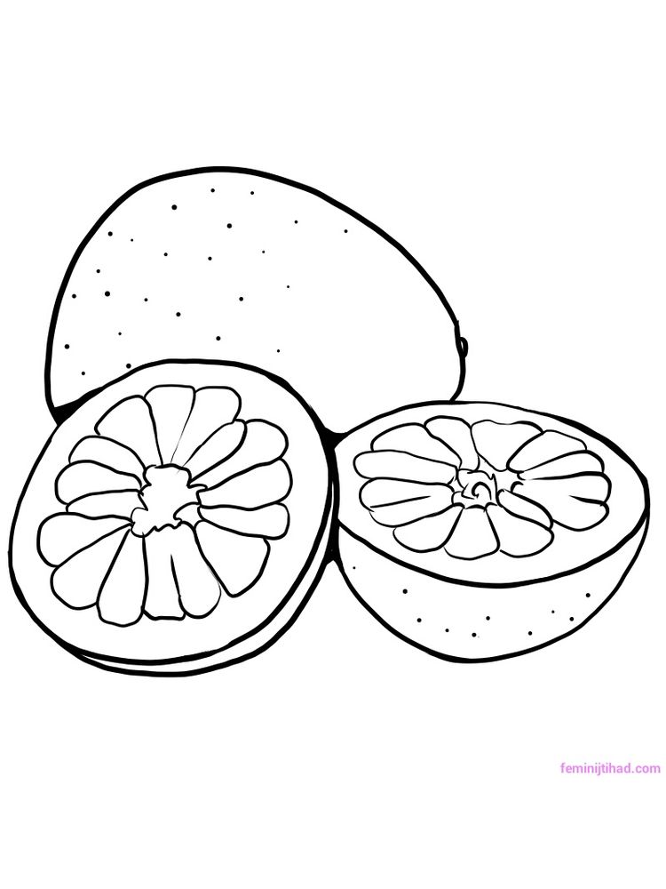 printable pomelo coloring image