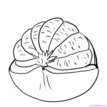 Printable Pomelo Coloring Page Download