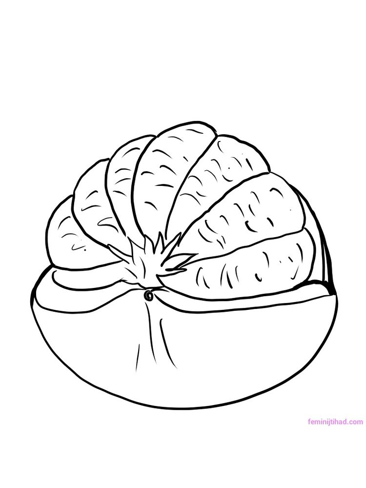 printable pomelo coloring page download