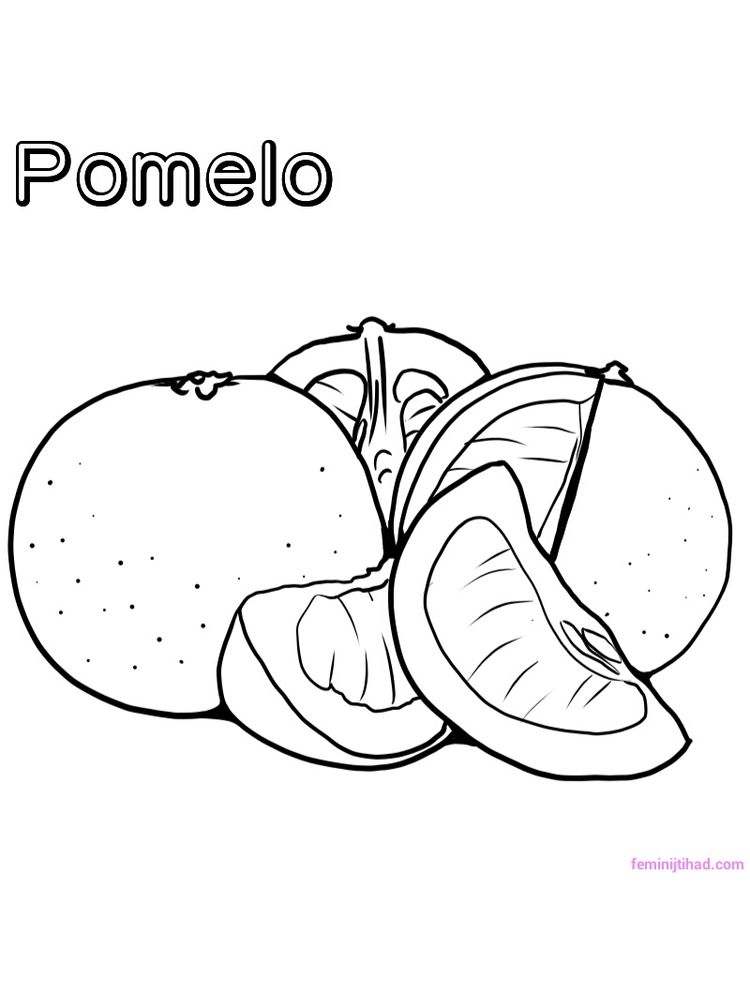 printable pomelo coloring page