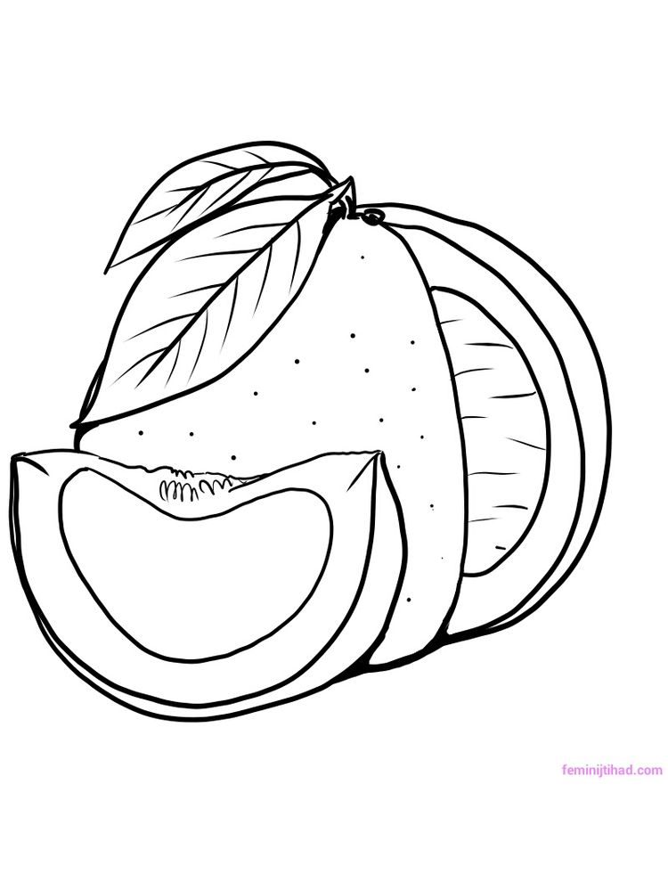 printable pomelo coloring pict