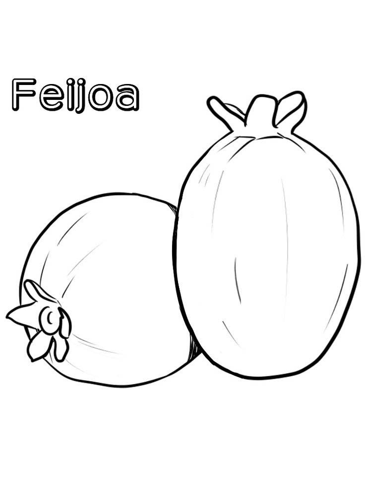 Feijoa Fruit Coloring Pages Printable