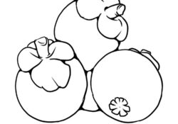 Printable Mangosteen Coloring Pages