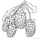 Printable Marionberry Coloring Image Pdf