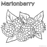 Printable Marionberry For Coloring Print