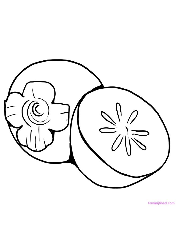 Printable persimmon coloring pages pdf