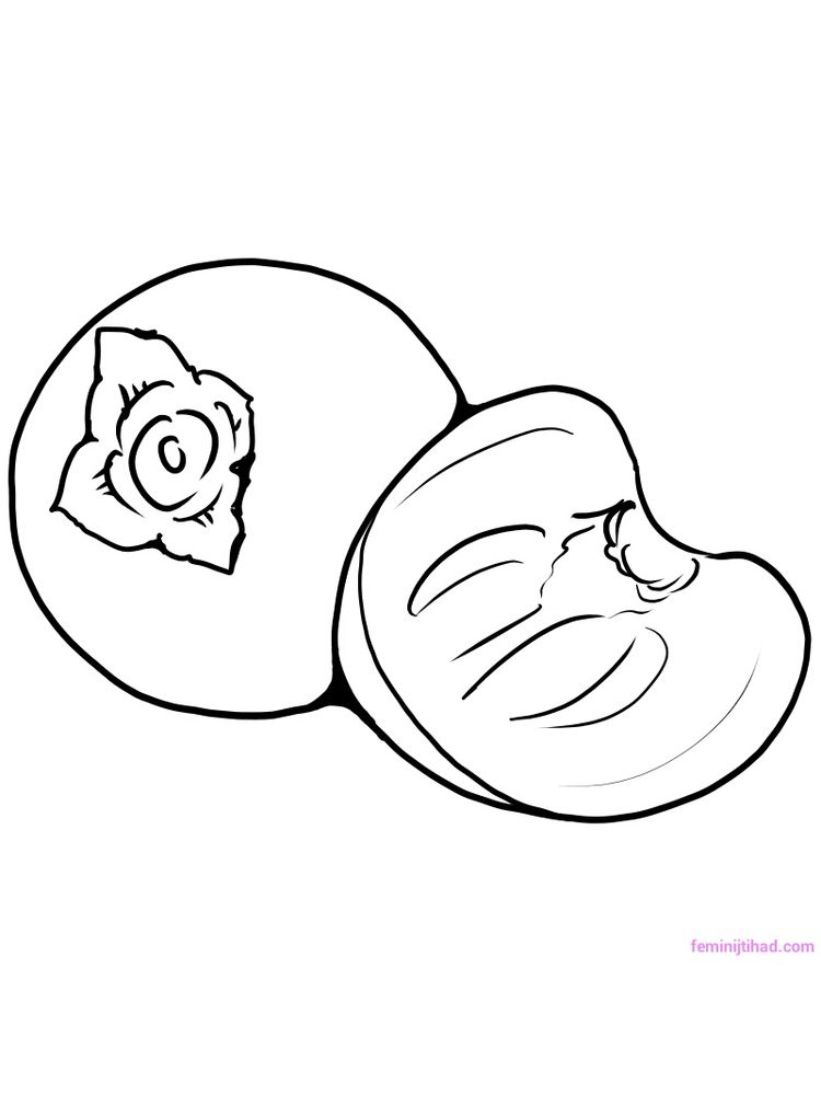 Printable persimmon coloring picture