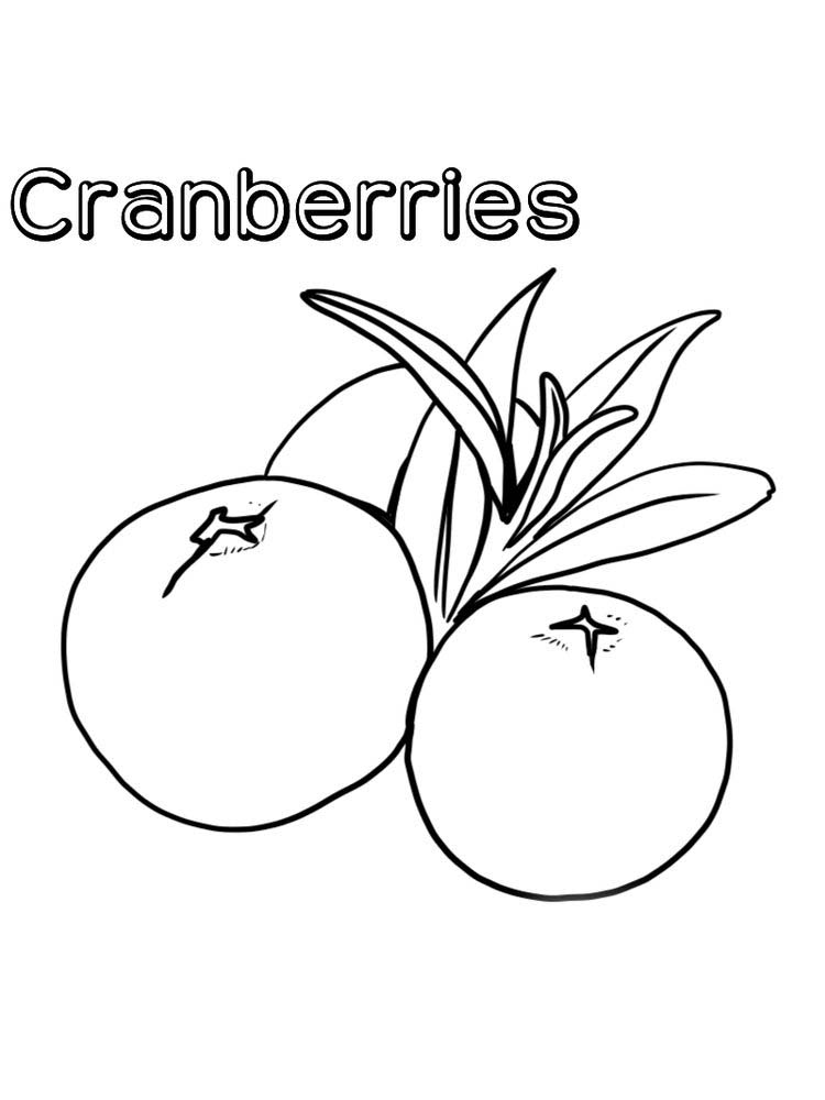 download cranberries coloring page print