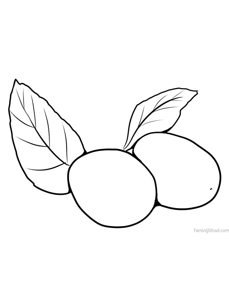 free jujube coloring picture printable