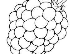 free marionberries coloring pict print