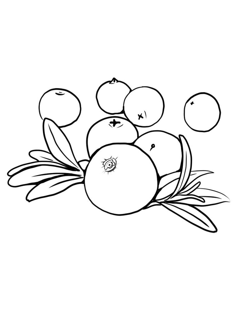 printable coloring pages of cranberries free