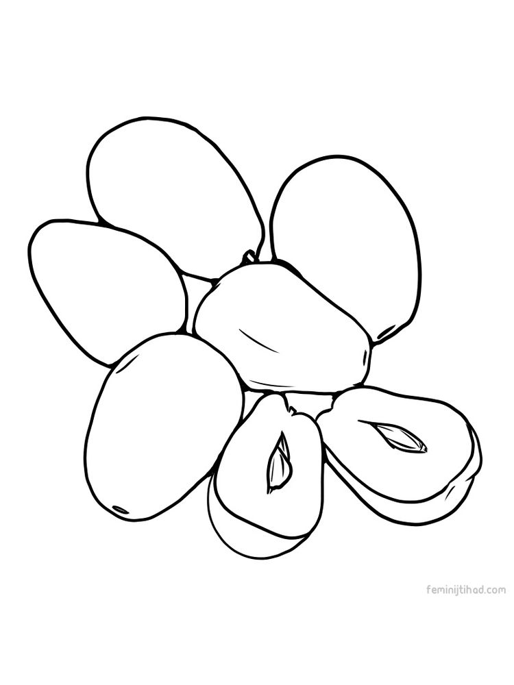 printable jujube coloring pages